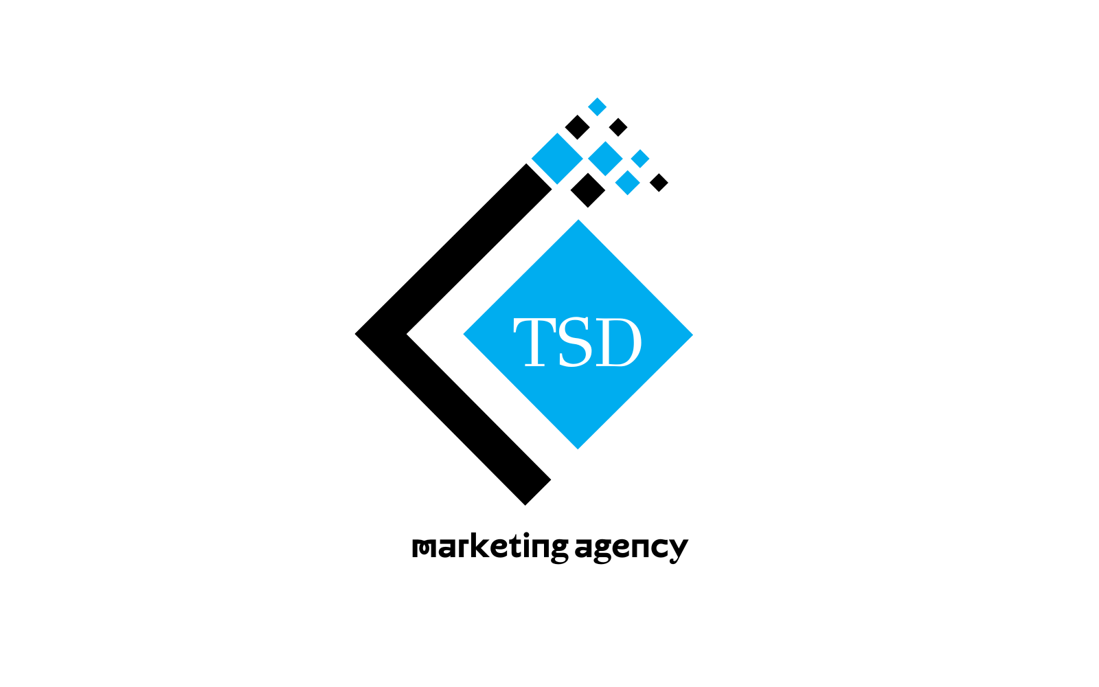 TSD Logo